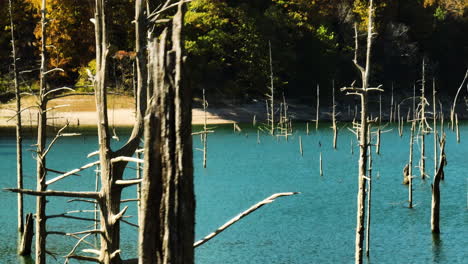 Old-Wooden-Pilings-Standing-On-The-Lake-Of-Eagle-Hollow-Cave-In-Arkansas,-USA