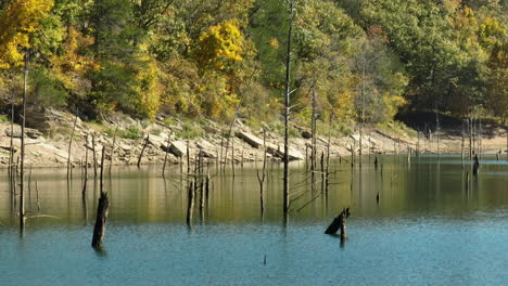 Wood-Pilings-In-Lake-Water-Near-Eagle-Hollow-Cave-During-Autumn-In-Bland,-Arkansas,-USA