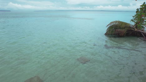 A-girl-in-a-bikini-swimming-above-the-waters-of-Zapatilla-Cay-beach-in-Bocas-del-Toro,-Panama_backward-shot