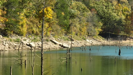 Wood-Pilings-In-Beaver-Lake-Backdropped-By-Fall-Trees