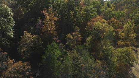 Bunte-Herbstwälder-In-Eagle-Hollow,-Arkansas,-USA---Luftaufnahme