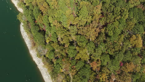 Aerial-View-Of-Dense-Forest-And-River-At-Conservation-Area-In-Summer-In-Arkansas,-USA