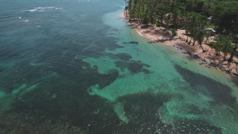 Luftaufnahme-Des-Strandes-Boca-Del-Drago,-Bocas-Del-Toro,-Panama-–-Stockvideo