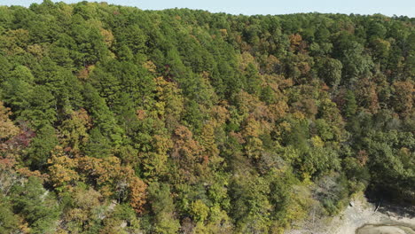 Bosque-Denso-En-Colorido-Follaje-De-Otoño-En-Arkansas,-EE.UU.