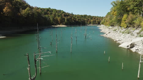 Abgestorbene-Bäume-Im-Fluss-Mit-Seichtem-Wasser-Während-Der-Trockenzeit-In-Arkansas,-USA