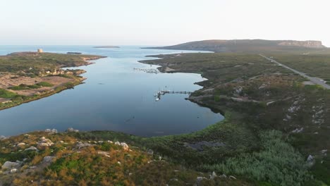 Panoramic-aerial-overview-of-grassland-landscape-and-boats-docked-in-Sa-Nitja-Menorca-Spain