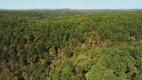 Panoramic-View-Of-Lush-Dense-Forest-In-Eagle-Hollow,-Arkansas,-USA---Drone-Shot