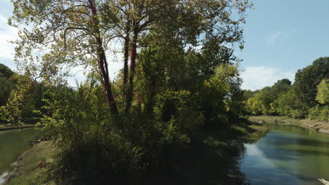A-Peaceful-Scene-Of-Nature-With-Creeks-And-Dense-Woods-Near-Twin-Bridges,-Arkansas,-USA