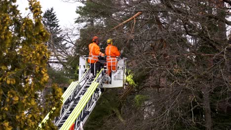 Intense-Storm-in-Munich,-Germany:-Fire-Department-Cuts-Down-Risky-Trees-Near-Homes,-Featured-in-Exclusive-Local-News-Interview