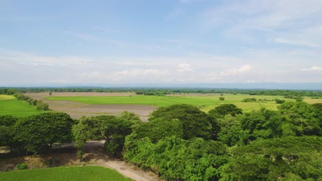 Reisfelder-In-Südamerika