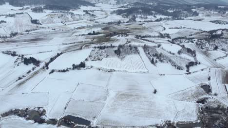 Luftaufnahme-Aus-Der-Vogelperspektive-Winter-Schneebedeckte-Bergfelder-Gipfel-Wald-Kippen-Nach-Oben