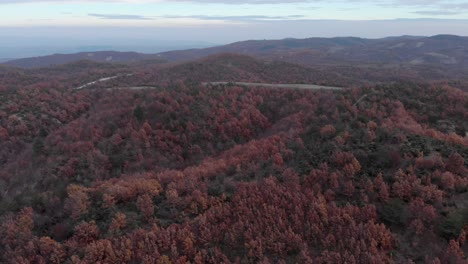 Aerial-over-autumn-color-forest-foliage-red-leaves-orange-sunset-winter-day