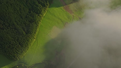 Draufsicht-Auf-Grüne-Wiesen-Mit-Rindern-Auf-Den-Azoren-Von-São-Miguel,-Luftaufnahme