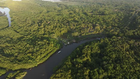 Mangroven-Mit-Lokalen-Booten-Am-Frühen-Morgen-In-El-Paredon,-Guatemala---Drohnenaufnahme