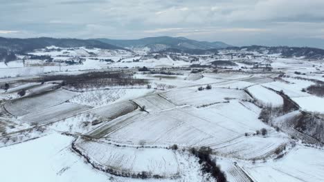 Aerial-View-Of-Frozen-Snowy-Fields-Mountains-forest-background-cloudy-day