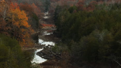 Rocky-Creek-Between-Autumn-Trees-In-Arkansas,-USA