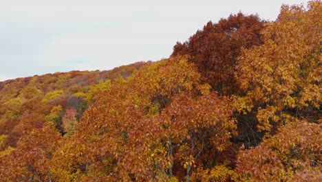 Herbstwald-Mit-Leuchtend-Orangefarbenen-Und-Gelben-Blättern-Im-Devil&#39;s-Den-State-Park,-Arkansas,-USA---Luftdrohnenaufnahme