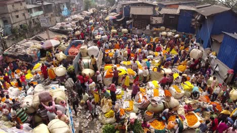 Mallick-ghat-aur-Ghat-is-one-of-the-biggest-Asian-flower-market-in-Asia