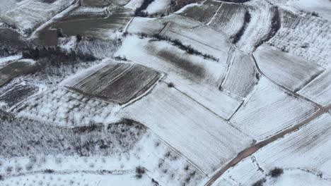 Aerial-Bird’s-eye-view-of-winter-snowy-mountain-agriculture-fields-tilt-up-day