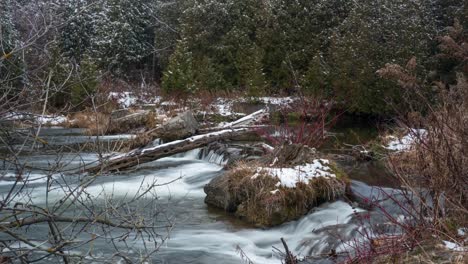 River-flowing-in-winter-forest-over-rocks-and-fallen-trees,-timelapse