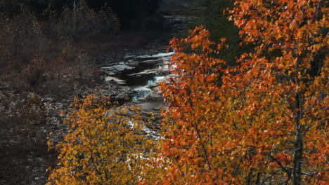 Malerischer-Herbstwald-Und-Fluss-In-Cedar-Flats,-Arkansas,-USA