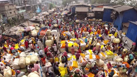 Mallick-ghat-aur-Ghat-is-one-of-the-biggest-Asian-flower-market-in-Asia