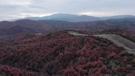 Drohnen-Herbstlaub-über-Dichtem-Bergwald,-Dämmerung,-Wolkige-Rote-Orangefarbene-Blätter