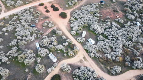 Aerial-view-showcases-blooming-trees-interspersed-with-camper-vans-situated-near-the-water's-edge-in-Portugal