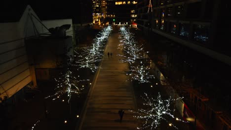 Aerial-of-People-walking-over-pathway-with-trees-decorated-with-Christmas-lights-at-night