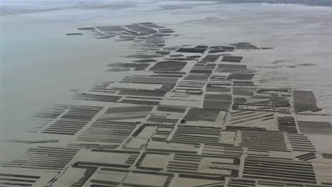 Aerial-view-of-oyster-farm-with-tractors-at-work-in-Cancale,-France