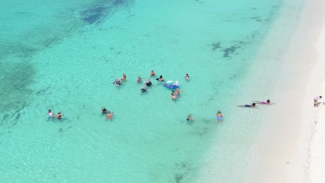 Luftaufnahme-Von-Oben-Nach-Unten,-Die-Eine-Gruppe-Von-Touristen-Zeigt,-Die-Im-Sommer-Im-Klaren-Türkisfarbenen-Karibischen-Meer-Schwimmen