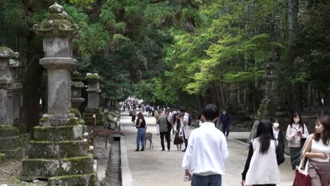 Tourist-walk-footpath-leading-to-Kasuga-taisha-temple-shrine-in-Nara-prefecture,-Japan
