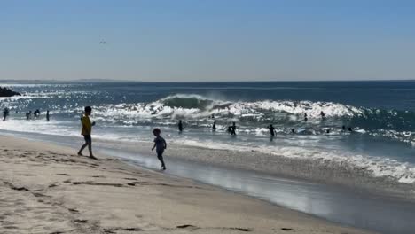 HD-Footage-of-people-playing-at-the-beach-on-a-beautiful-sunny-day