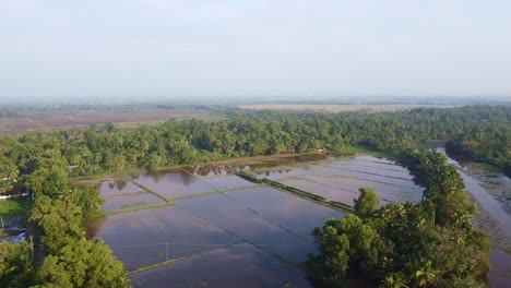 Rice-fields-in-Asia,Field-edges,-Land-prepared-for-cultivation-,The-field-has-been-plowed-and-watered-for-cultivation,-,-High-angle-shot-,-aerial-shoot