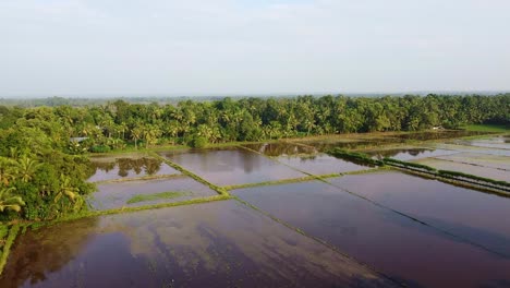 Waterlogged-farmland,Field-edges,-Land-prepared-for-cultivation-,The-field-has-been-plowed-and-watered-for-cultivation,-Rice-fields-in-Asia-,-High-angle-shot-,-aerial-shoot