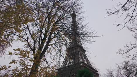 B-roll-of-Eiffel-Tower-behind-trees-on-a-cloudy-day
