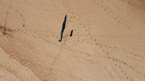 Luftaufnahmen-Zeigen-Eine-Person,-Die-Gemütlich-An-Einem-Sonnenverwöhnten-Sandstrand-Spaziert