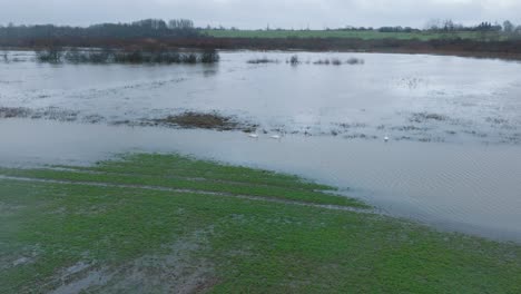 Luftaufnahme-Von-Hochwasser,-Alande-Fluss,-Landwirtschaftlichen-Feldern-Unter-Wasser,-Bewölkter-Tag,-Weite-Drohnen-Umlaufaufnahme