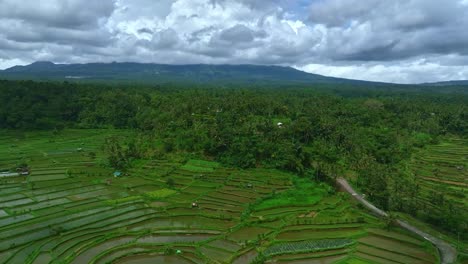Rice-paddy-farms-under-in-the-shadow-of-Mt-Agung-shrouded-by-cloud-in-Bali