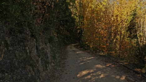 Wunderschöne-Landschaften-Und-Herbststraßen-In-Arbucies,-Girona,-Spanien