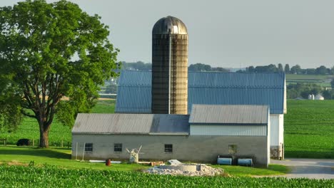 Peaceful-rural-farm-scene