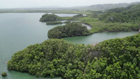 Luftaufnahme-Des-Nationalparks-Los-Haitises-In-Der-Samaná-Bucht-In-Der-Dominikanischen-Republik