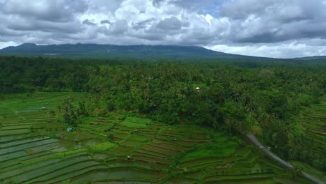 Blick-über-Den-üppigen-Dschungel-In-Richtung-Des-Aktiven-Vulkans-Mt.-Agung-Auf-Bali,-Der-In-Wolken-Gehüllt-Ist