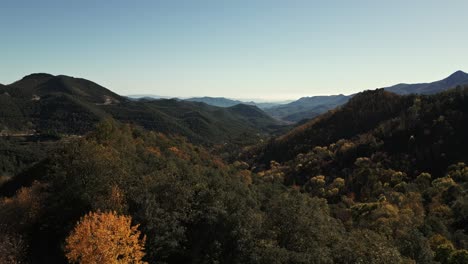 Flying-above-beautiful-lush-forests-on-mountain-hills,-Girona,-dolly-forward