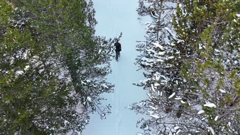 Top-down-drone-footage-of-a-man-walking-between-trees-under-the-snow-in-the-Pyrenees-mountains