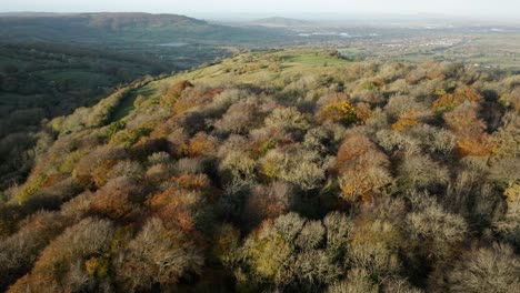 Herbstbäume-Country-Park-Großbritannien-Cotswolds-Crickley-Hill-Waldlandschaft-Antenne