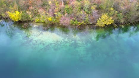 Luftdrohnenaufnahmen-4K-Vom-Herbstlichen-Seeufer