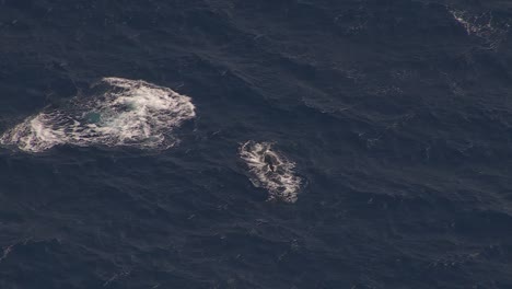Humpback-Whale-Pod-Breaching-Indian-Ocean-Surface-in-Reunion-France,-Aerial