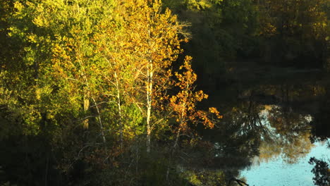 Small-Forest-Lake-In-Autumn-In-Combs-Park,-Arkansas,-USA---Drone-Shot