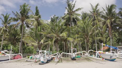 Balinesische-Fischerboote-An-Der-Küste-Des-Unberührten-Strandes-Neben-Einer-Palmenplantage